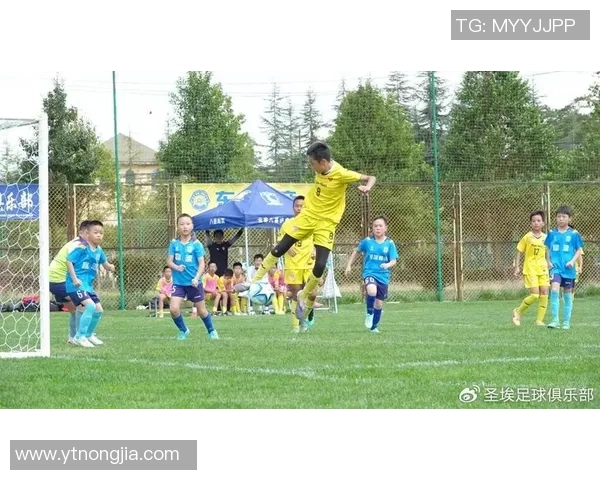 足球明星齐聚祭拜成吉思汗重温历史荣耀与文化传承的视频盛宴