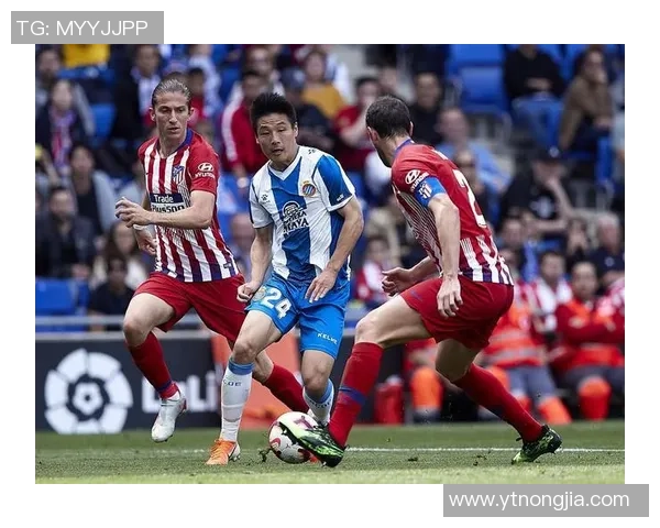 杭州网球队在欧锦赛积分榜上以85分稳居第一名展现强劲实力